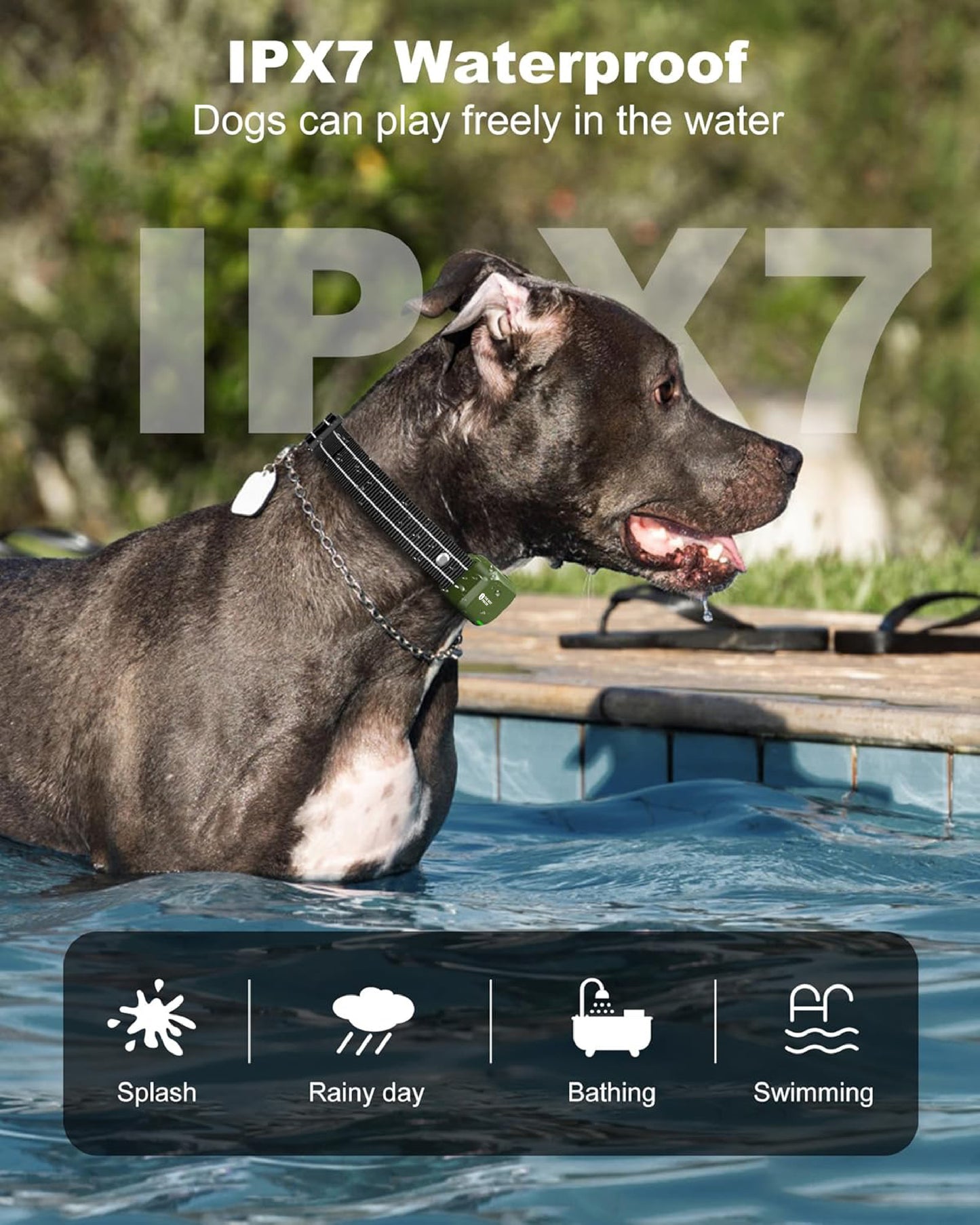 Dog Shock Collar for 2 Dogs – 4200FT Remote, Waterproof, 4 Modes, Rechargeable