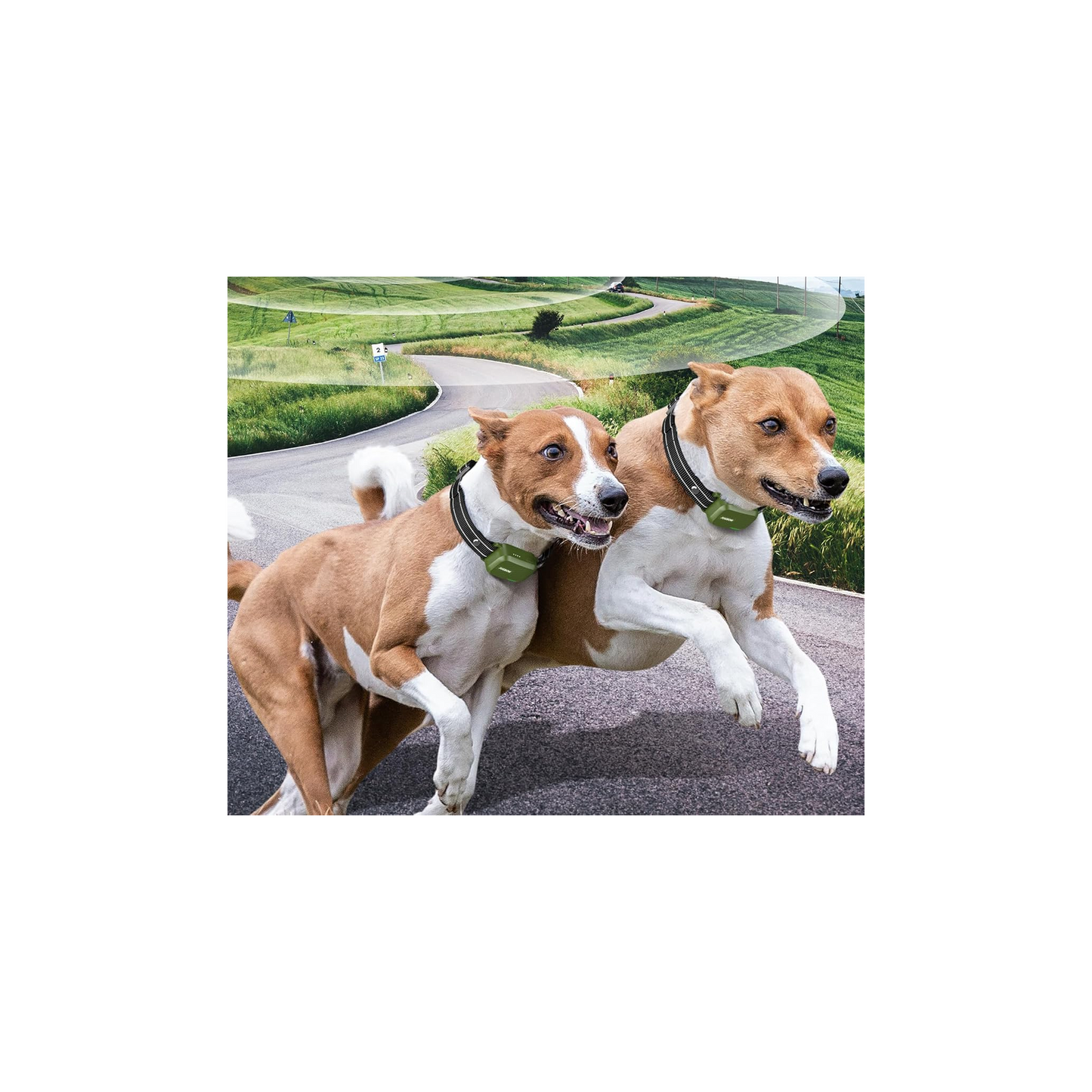 Jugbow Dog Shock Collar for 2 Dogs – 4200FT Remote, Waterproof, 4 Modes, Rechargeable