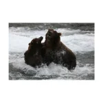 Canon EOS 5D Mark IV Kit with 24-105mm f/4L II - Image 3