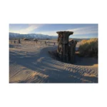 Canon RF 16-28mm f/2.8 IS STM Lens - Image 3