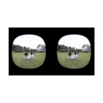 Canon RF-S 3.9mm F/3.5 STM Dual Fisheye Lens - Image 3