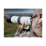 Canon RF 200-800mm F/6.3-9 IS USM Lens - Image 9